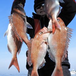 Fisherman Dreams DI 釣果