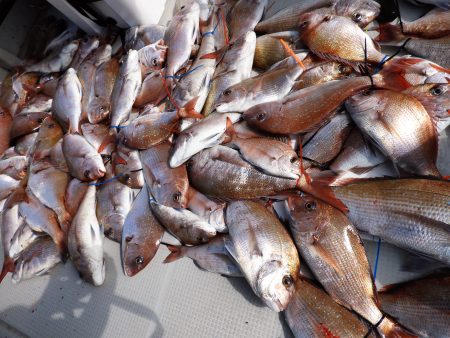 Fisherman Dreams DI 釣果