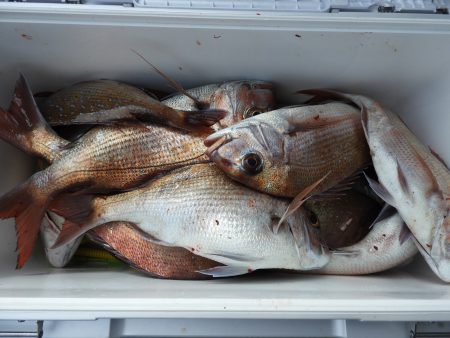 Fisherman Dreams DI 釣果