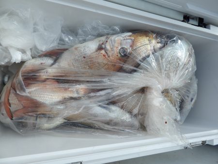 Fisherman Dreams DI 釣果