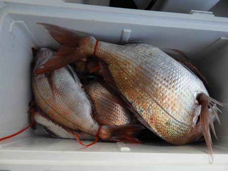 Fisherman Dreams DI 釣果