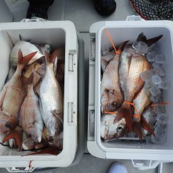 Fisherman Dreams DI 釣果