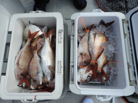 Fisherman Dreams DI 釣果