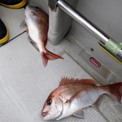 Fisherman Dreams DI 釣果