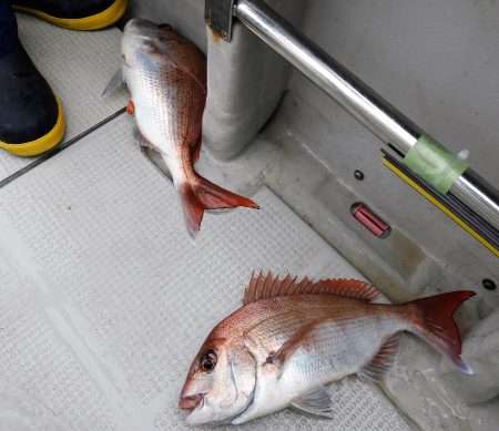 Fisherman Dreams DI 釣果