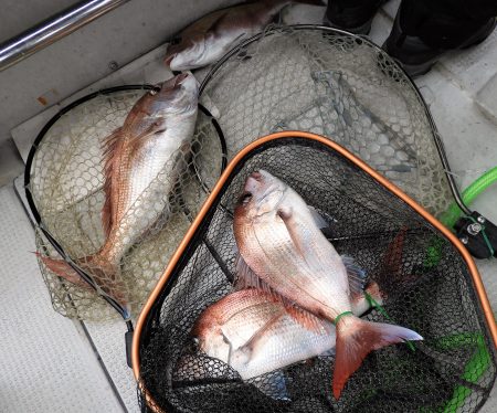 Fisherman Dreams DI 釣…