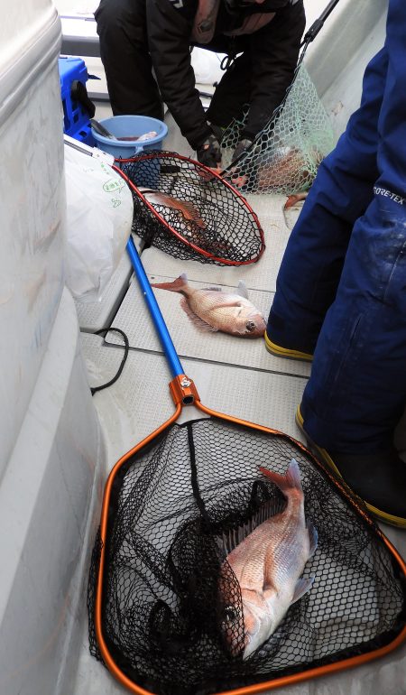 Fisherman Dreams DI 釣果