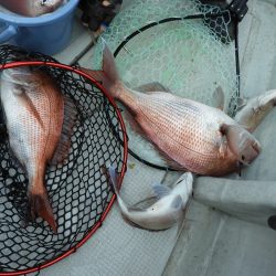 Fisherman Dreams DI 釣果