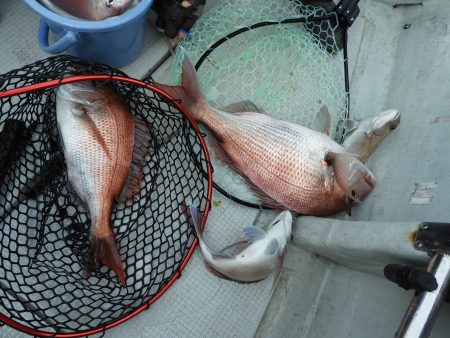 Fisherman Dreams DI 釣果