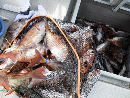 Fisherman Dreams DI 釣果