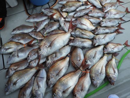 Fisherman Dreams DI 釣果