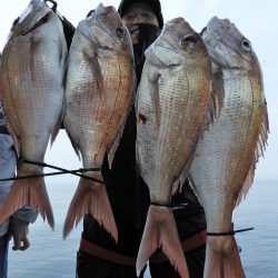 Fisherman Dreams DI 釣果