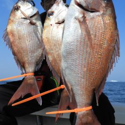 Fisherman Dreams DI 釣果