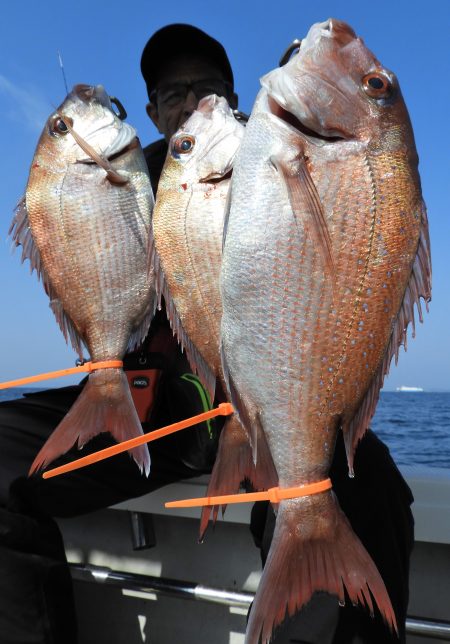 Fisherman Dreams DI 釣果