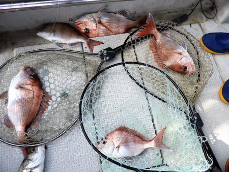 Fisherman Dreams DI 釣果