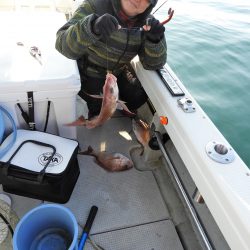 Fisherman Dreams DI 釣果