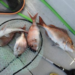 Fisherman Dreams DI 釣果