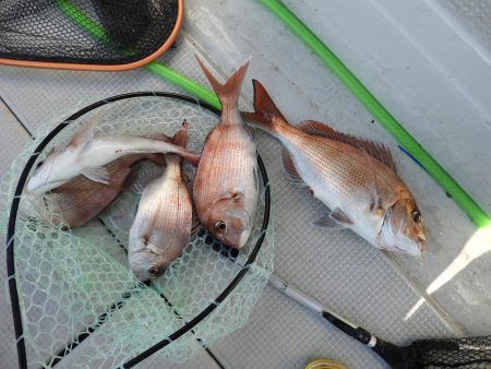 Fisherman Dreams DI 釣果