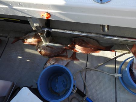 Fisherman Dreams DI 釣果