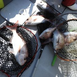 Fisherman Dreams DI 釣果