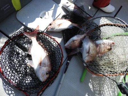 Fisherman Dreams DI 釣果