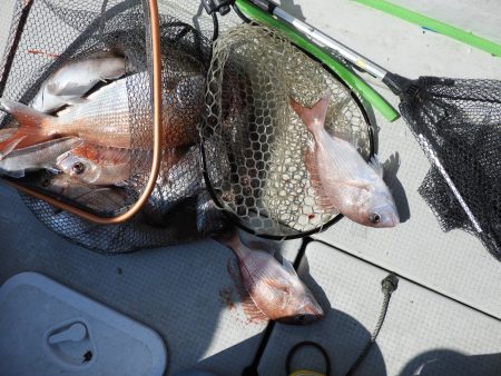 Fisherman Dreams DI 釣果