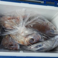 Fisherman Dreams DI 釣果