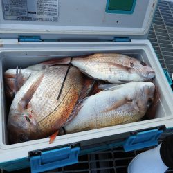 Fisherman Dreams DI 釣果