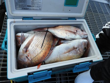 Fisherman Dreams DI 釣果