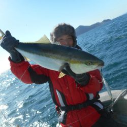 大進丸（愛知） 釣果