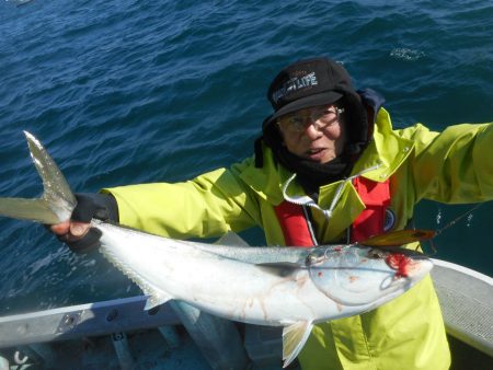 大進丸（愛知） 釣果