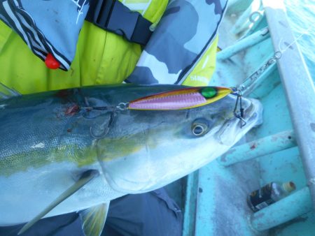 大進丸（愛知） 釣果