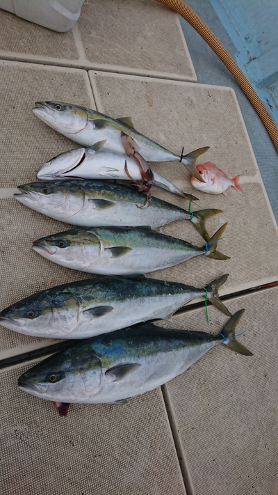 旭星釣りセンター 釣果