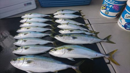 武士(SAMURAI) 釣果