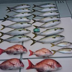 フィッシングボートACE(エース) 釣果