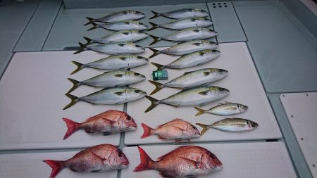 フィッシングボートACE(エース) 釣果