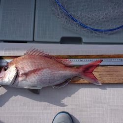 フィッシングボートACE(エース) 釣果