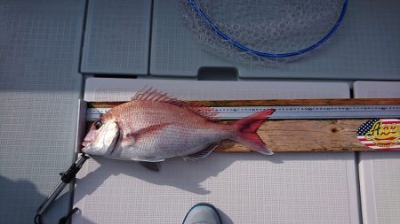 フィッシングボートACE(エース) 釣果