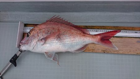 フィッシングボートACE(エース) 釣果