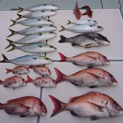 フィッシングボートACE(エース) 釣果