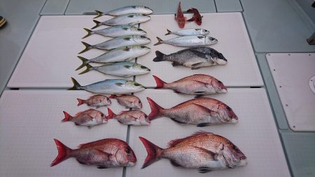 フィッシングボートACE（エース） 釣果