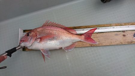 フィッシングボートACE(エース) 釣果