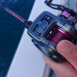 フィッシングボートACE(エース) 釣果