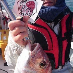 フィッシングボートACE(エース) 釣果