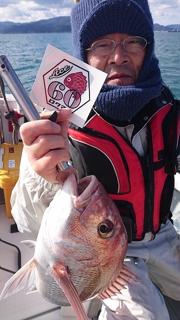 フィッシングボートACE(エース) 釣果