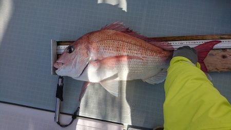 フィッシングボートACE(エース) 釣果