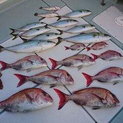 フィッシングボートACE(エース) 釣果