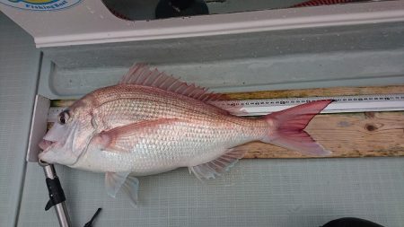 フィッシングボートACE(エース) 釣果