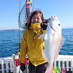 フィッシングボートACE(エース) 釣果