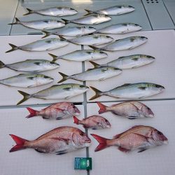 フィッシングボートACE(エース) 釣果